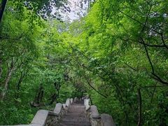 -千佛山风景名胜区