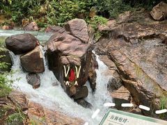 -广州白江湖森林公园