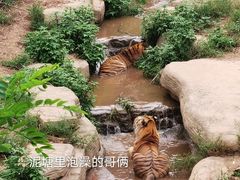 -大连森林动物园