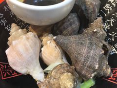 海螺-小海丁