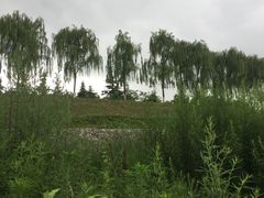 -洨河生态公园