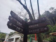 -东莞市大岭山森林公园