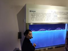 -白鹤梁水下博物馆