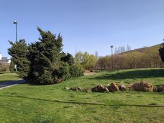 -棒棰岛宾馆景区