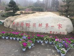 -习家池