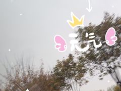 -九尺赵老四鲜鹅肠火锅