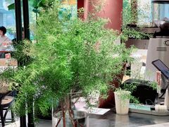 -Toris(LuOne凯德晶萃广场店)