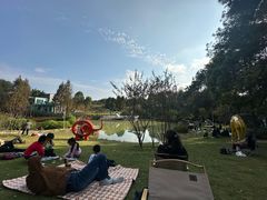 -铁山坪森林公园