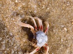 -北海金海湾红树林生态旅游区