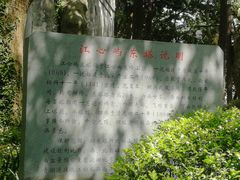 -江心屿景区