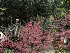 -乌山风景区