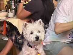 -笨罗卜浏阳菜馆(龙华鹏润达店)