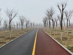 -天津东丽湖风景区