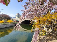 -元大都城垣遗址公园