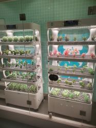 -MINI MARS 移动的空间站乐园·餐饮·派对(浦东金桥店)