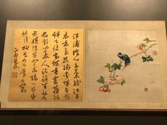 -辽宁省博物馆