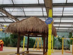 -南宫五洲植物乐园