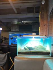 -青木造型HAIR·あおき髪を刈る潮人店