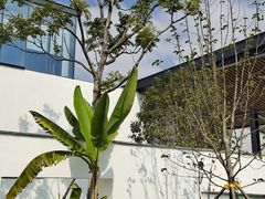 -青果巷历史文化街区