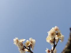 -无锡梅园公园