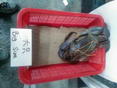 -龙海鲜螃蟹王(宏茂桥店)