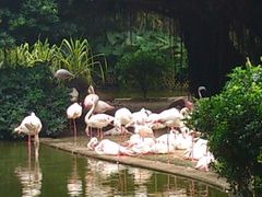-九龙公园