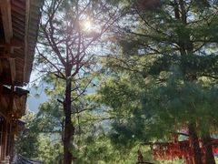 -苍山感通索道