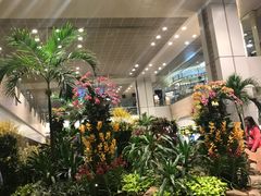 -樟宜机场免税店