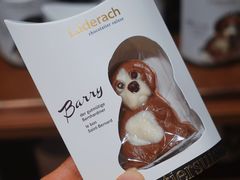 -Laderach 莱德拉(上海环贸iapm店)