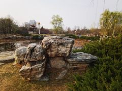 -滨河世纪广场公园