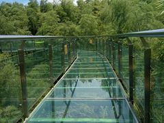 -陶祖圣境风景区