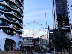 -墨尔本之星 观景摩天轮