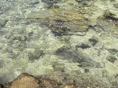 -石螺口海滩