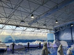 -秦皇岛乐岛海洋王国