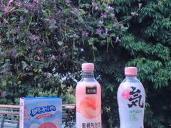 -立新湖公园