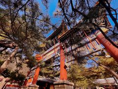 -潭柘寺景区