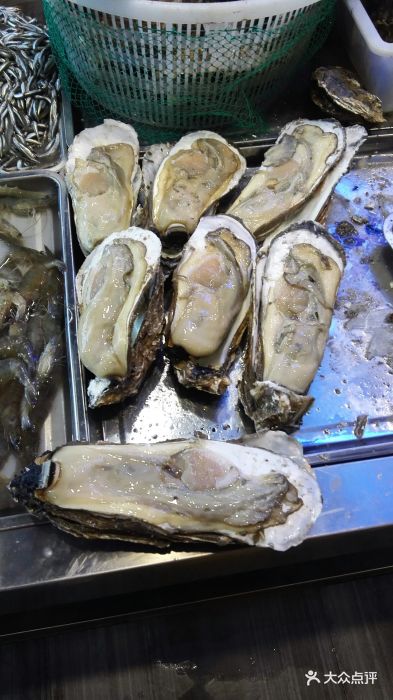 三山岛大生蚝图片