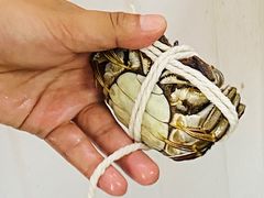 -阳澄湖大闸蟹·琼灵阁牌品牌连锁(吴中总店)