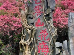 -木兰云雾山