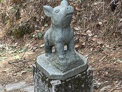 -四明山国家森林公园