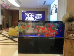 点击看大图 -苏州卫康美容医院
