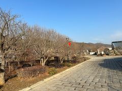 -大连北马山庄