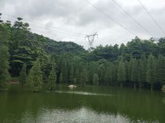 -广州市帽峰山景区