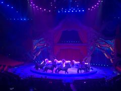 -珠海横琴长隆《卡卡虎奇遇记》