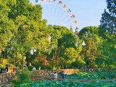 -上海野生动物园