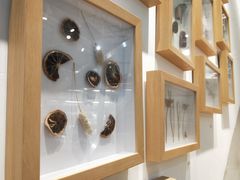 -植物学家的女儿(北马道巷店)