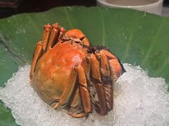 -觀芷隐轩