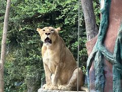 -清迈夜间动物园