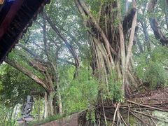-丰都鬼城名山景区