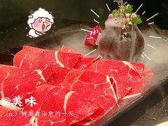 -捞王猪肚鸡火锅(财富中心店)